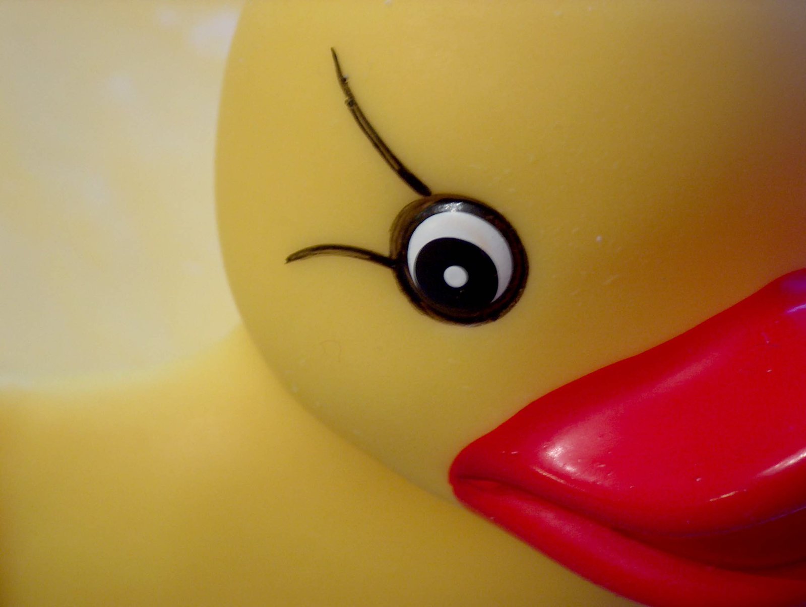 duck-toy-1502764-1599x1204