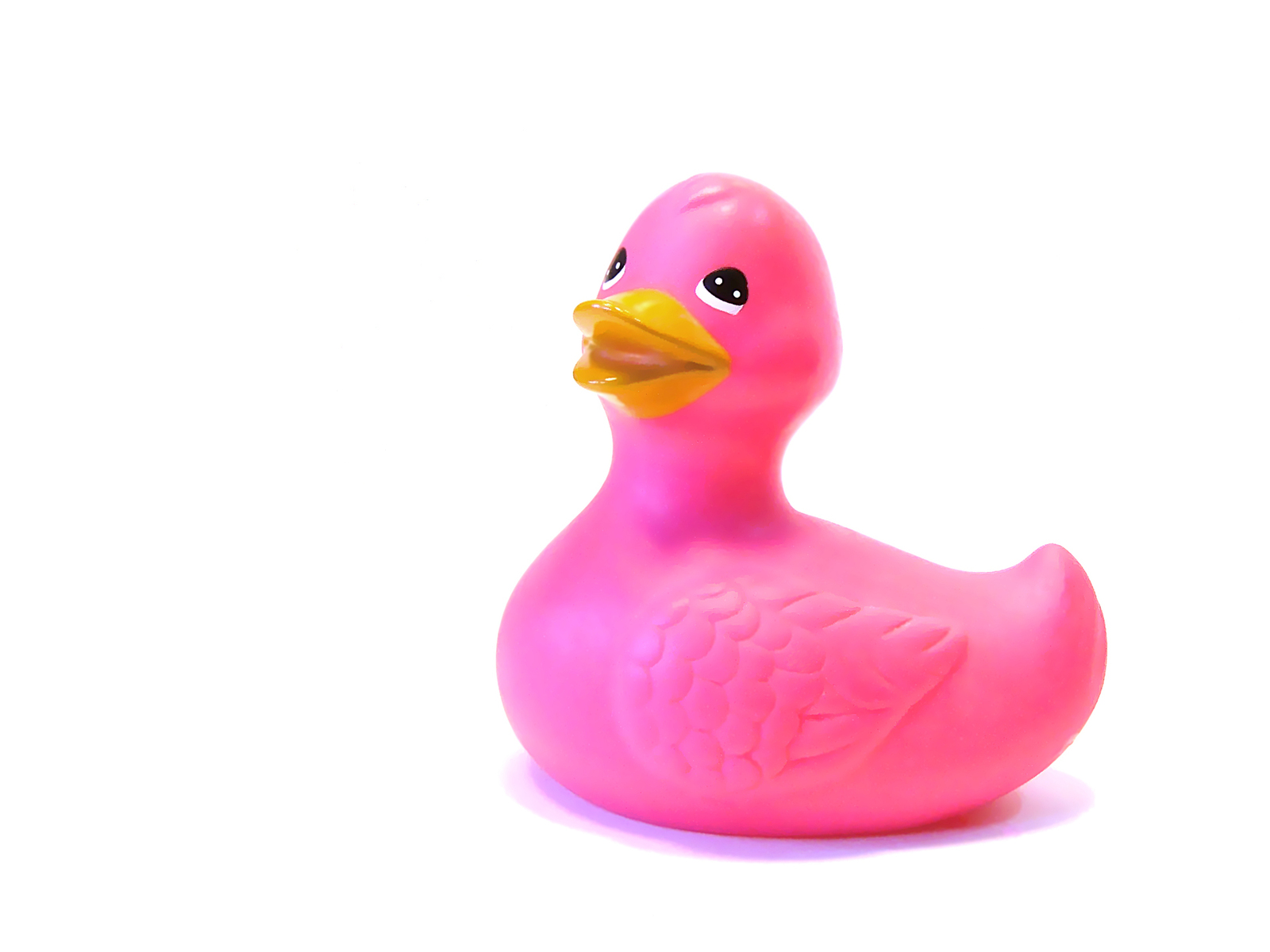 pink-duck-1423723-1600x1200